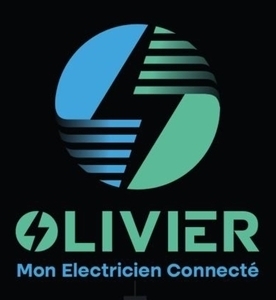 Olivier Le Ven Pabu, Professionnel indépendant