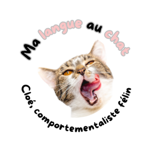 Cloé comportementaliste félin Languidic, Professionnel indépendant