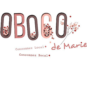 Oboco de Marie Laillé, Professionnel indépendant